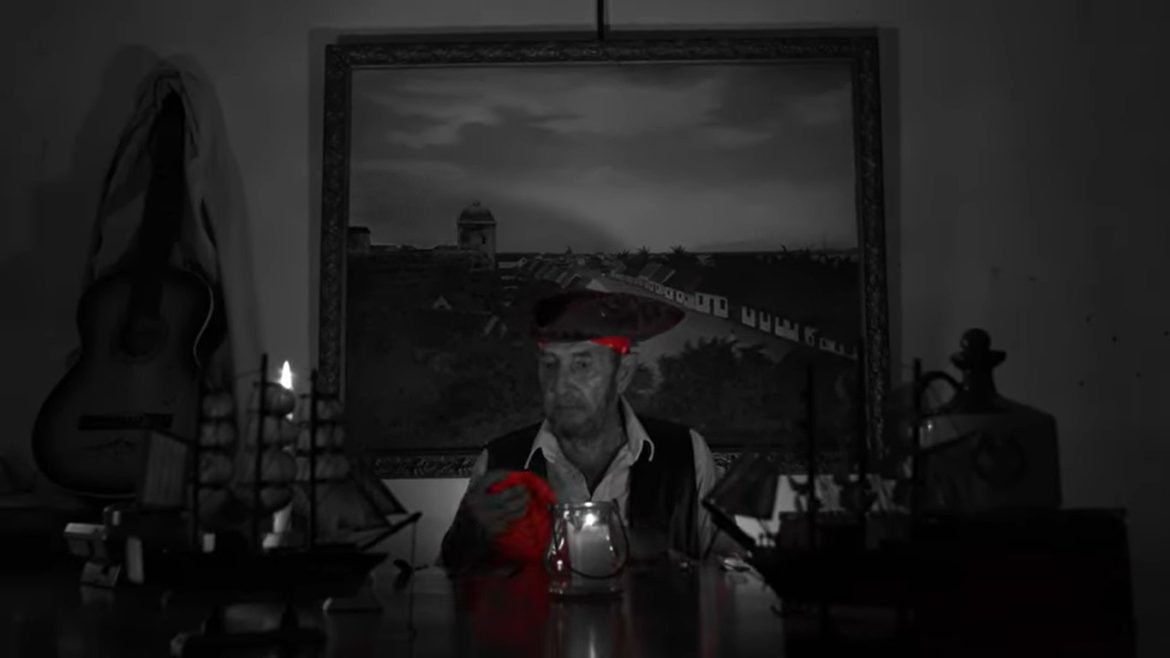 (Nuevo Clip) Afilador de Cuchillos / Xono Rosa